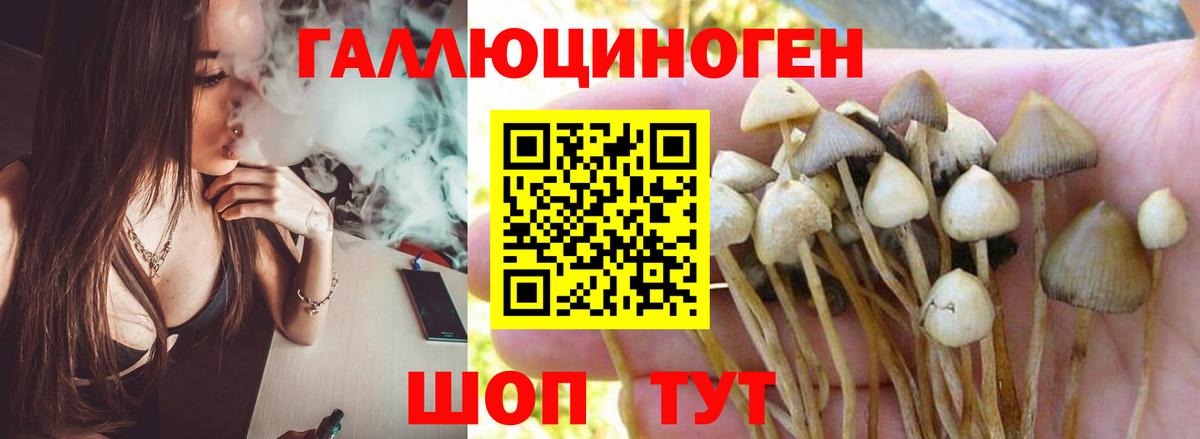 Галлюциногенные грибы мухоморы  Галлюциногенные грибы GOLDEN TEACHER  Вход с VPN  Фрязино 